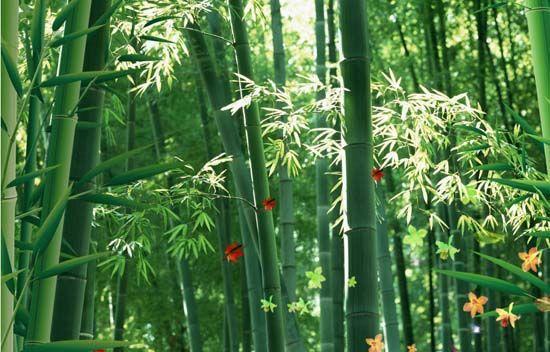 大自然沁人心脾的新鮮空氣，在家也能呼吸到